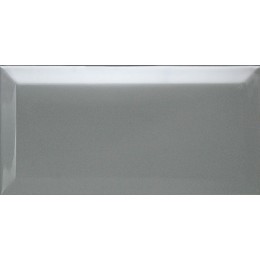 Керамическая плитка Biselado Plata Brillo 10x20 см