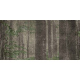 Керамическая плитка  W&S D+ CP4 WOODS A   120X240