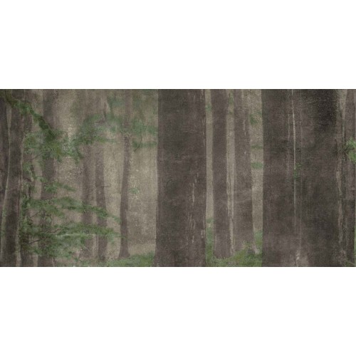 ABK  W&S D+ CP4 WOODS A   120X240