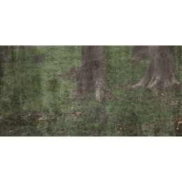 Керамическая плитка  W&S D+ CP4 WOODS A   120X240