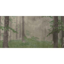 Керамическая плитка  W&S D+ CP4 WOODS B  120X240