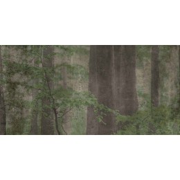 Керамическая плитка  W&S D+ CP4 WOODS C