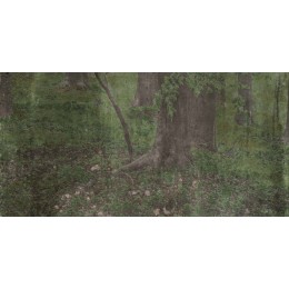 Керамическая плитка  W&S D+ CP4 WOODS C