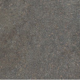 Керамогранит NATIVE FOREST RET	80X80