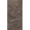 REX HERITAGE LUXE BROWN GLOSS.9MM 60X120 RET