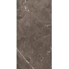 REX HERITAGE LUXE BROWN GLOSS.9MM 60X120 RET