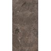 REX HERITAGE LUXE BROWN GLOSS.9MM 60X120 RET