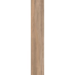 Плитка напольная DOLPHIN CLAY AGED RETT. 20X120