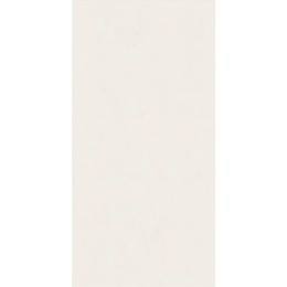 Керамическая плитка WIDE&STYLE MINI SNOW RET 60х120