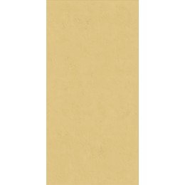 Керамическая плитка WIDE&STYLE MINI GINGER RET 60х120