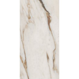 Керамогранит SNS.SIGN.CAL. VENA ORO NAT RET 60X120