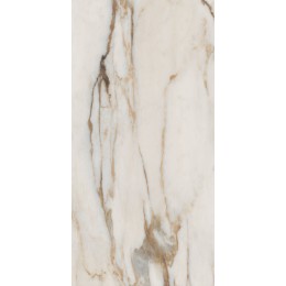 Керамогранит SNS.SIGN.CAL. VENA ORO NAT RET 60X120