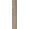 ABK POETRY WOOD  OAK NAT RETT 20x120