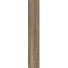 Керамогранит POETRY WOOD  OAK NAT RETT 20x120