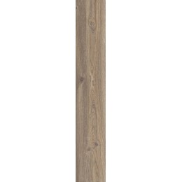 Керамогранит POETRY WOOD  OAK NAT RETT 20x120