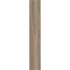ABK POETRY WOOD  OAK NAT RETT 20x120