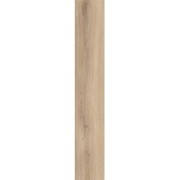 Керамогранит ECO CHIC NATURALE RET  20X170