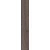 ABK POETRY WOOD  MUD NAT RETT 20x120