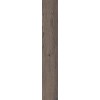 ABK POETRY WOOD  MUD NAT RETT 20x120