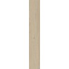 ABK POETRY WOOD  GOLD NAT RETT 20x120