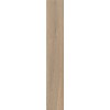 ABK POETRY WOOD  GOLD NAT RETT 20x120