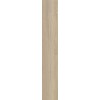 ABK POETRY WOOD  GOLD NAT RETT 20x120