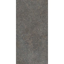 Керамогранит NATIVE FOREST RET  60X120