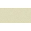 60x120 Matter Ivory Pulido rect. Гранит керамический