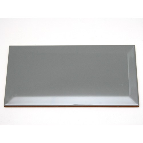 Керамическая плитка Dar Ceramics Biselado Plata Brillo 10x20