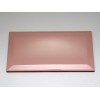 Керамическая плитка Dar Ceramics Biselado Salmon Brillo 10x20