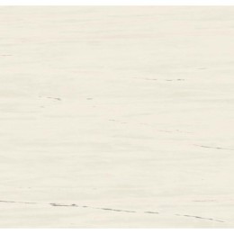 Marvel Bianco Dolomite 160x160RT Lappato