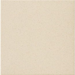 PROJECT GESSO 30