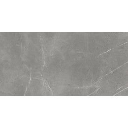 Ф.Д.М. Элегант Г. Рет 60х120 Чер