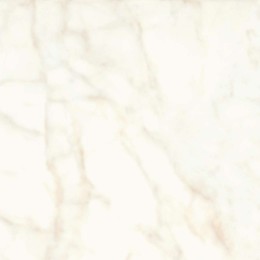 Marvel Calacatta Delicato 60x60 Lappato