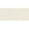Настенная плитка глазурованная Marvel Bianco Dolomite 50x120