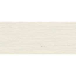 Marvel Bianco Dolomite 50x120