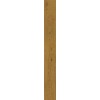 Керамогранит Неглазурованный Exence Amber 18,5x150
