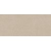 Керамогранит Неглазурованный Boost Natural Ash 120x278
