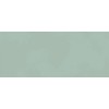 Настенная плитка Глазурованная Boost Color Jade 50x120