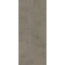 Boost Pro Taupe 120x278
