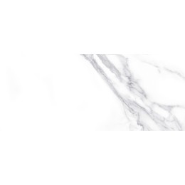 Плитка облиц. Anima Белый 60*25 01 1 \57,6