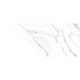 Плитка облиц. Anima Белый 60*25 01 1 \57,6